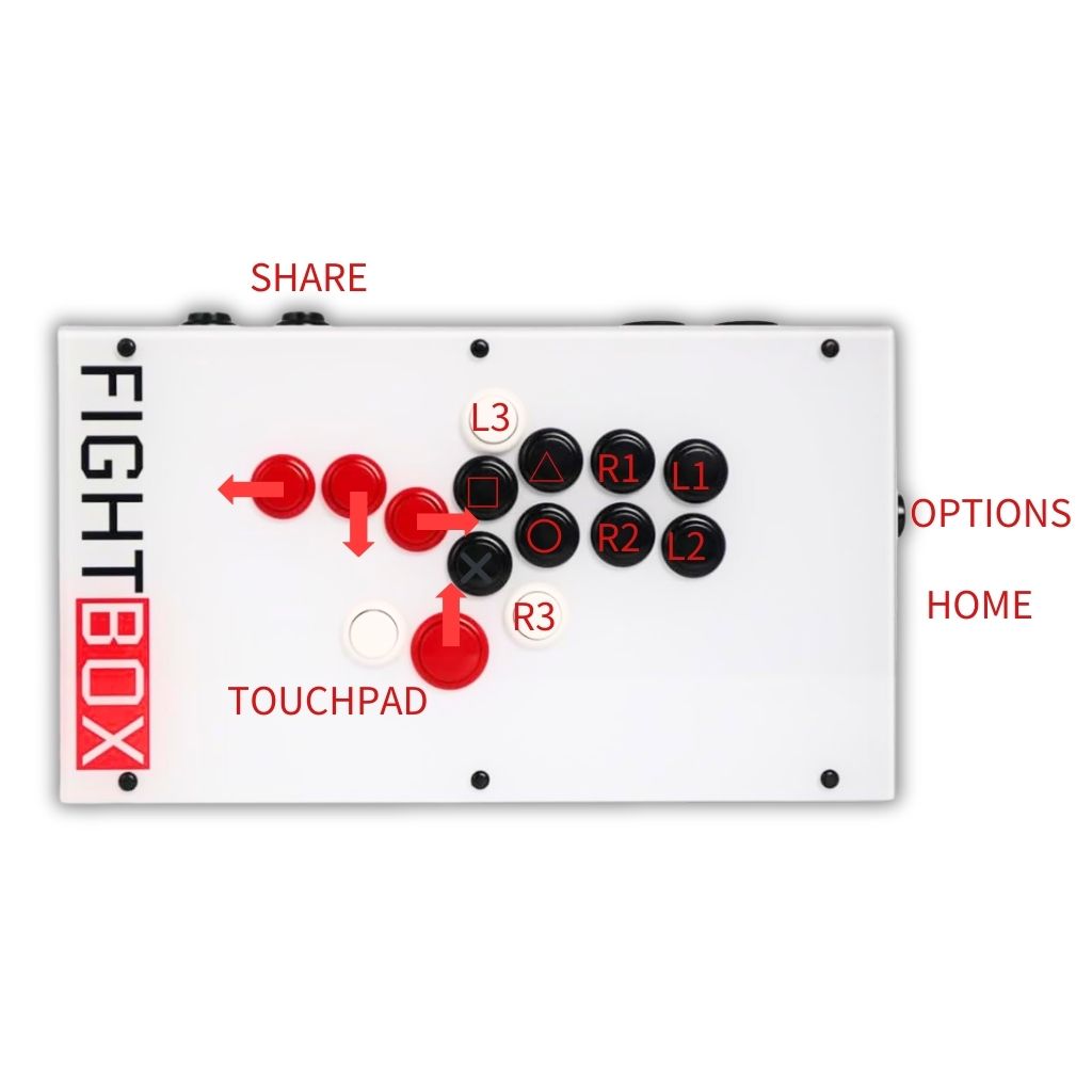 ファイトボックス FightBox F10-EX-PS5-V2