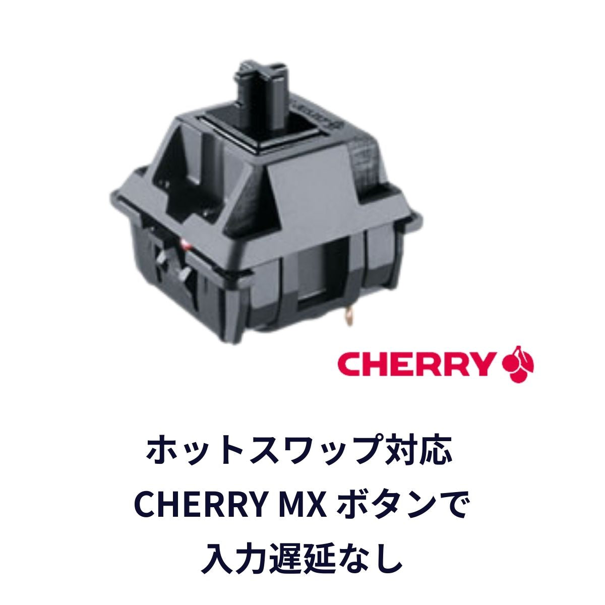 ファイトボックス FightBox B10-PC